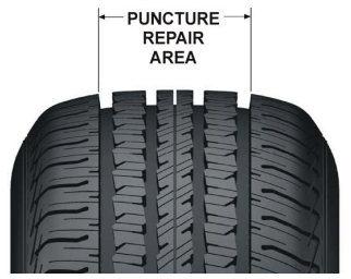 punture area.png